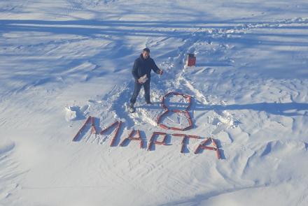 8 марта: открытка - поздравление с высоты птичьего полета